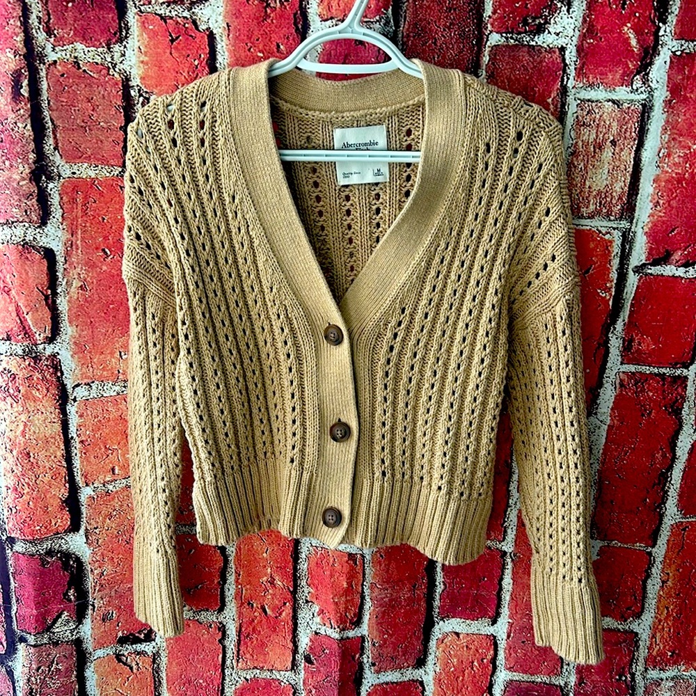 Abercrombie & Fitch Camel Open-Knit Button-Front Cardigan